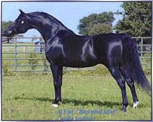 Obrazek